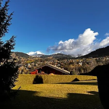 Mignon Cocon Avec Terrasse Face Au Mont Blanc Apartment